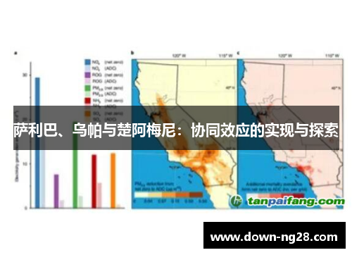 萨利巴、乌帕与楚阿梅尼:协同效应的实现与探索