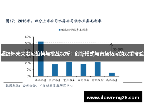 超级杯未来发展趋势与挑战探析：创新模式与市场拓展的双重考验
