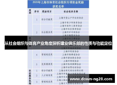 从社会组织与体育产业角度探析建业俱乐部的性质与功能定位