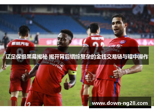 辽足保级黑幕揭秘 揭开背后错综复杂的金钱交易链与暗中操作