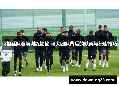 阿根廷队赛前训练揭秘 强大团队背后的默契与秘密技巧