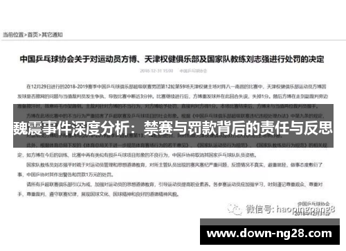 魏震事件深度分析：禁赛与罚款背后的责任与反思