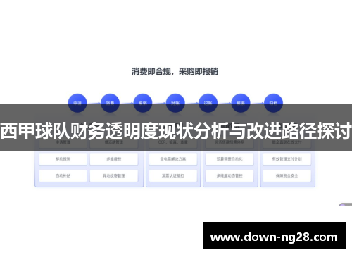 西甲球队财务透明度现状分析与改进路径探讨